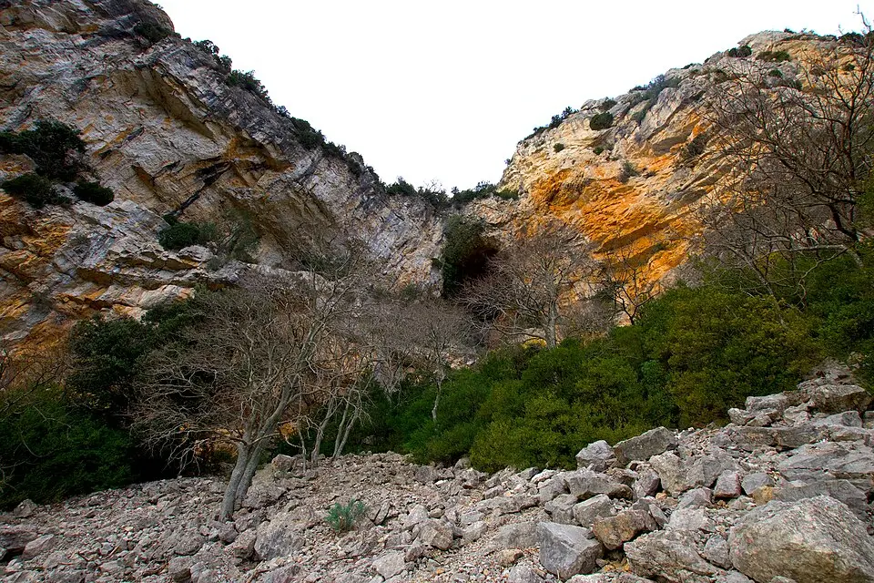 Cova Roja