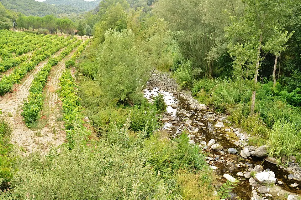 Désix