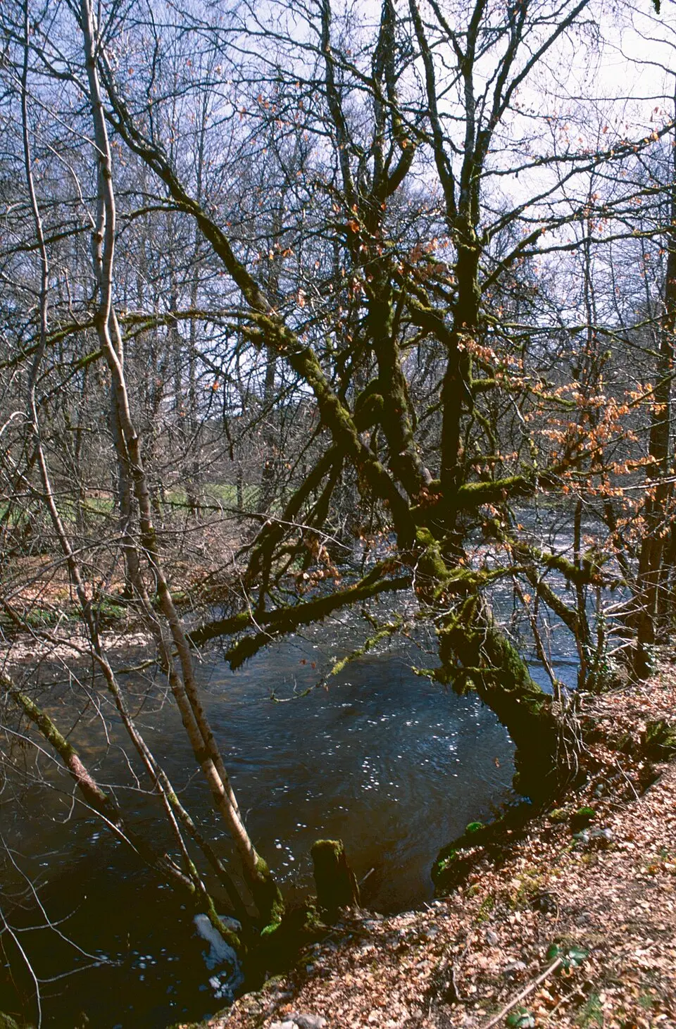Kép: Gilles Péris · Public domain Saint-Pardoux-le-Vieux