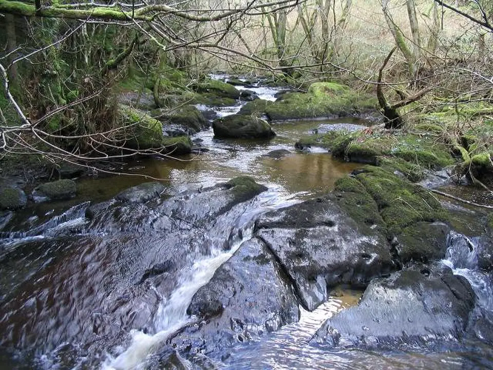 River Aled