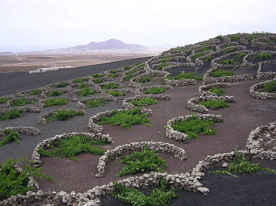 Lanzarote