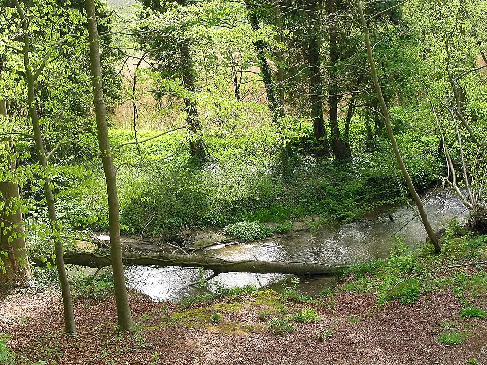 Zilverbeek