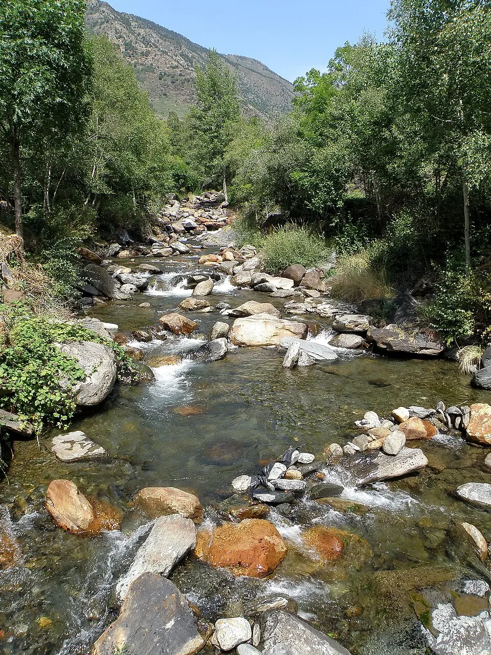 Noguera de Vallferrera