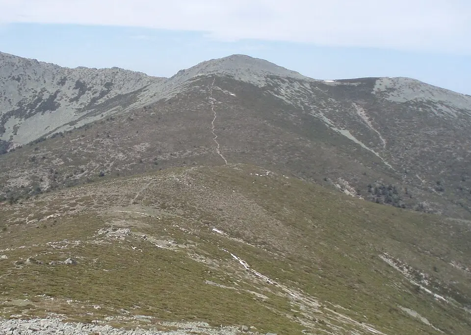 La Pinareja
