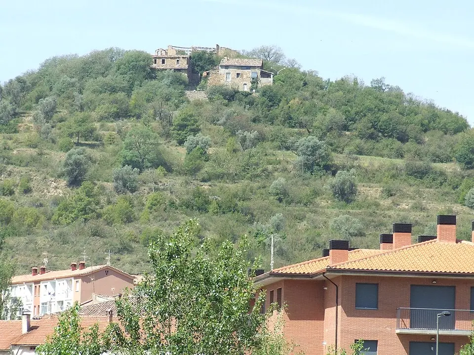 Puimanyons