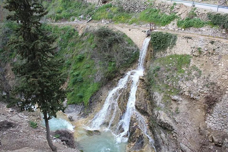 Rio Torres