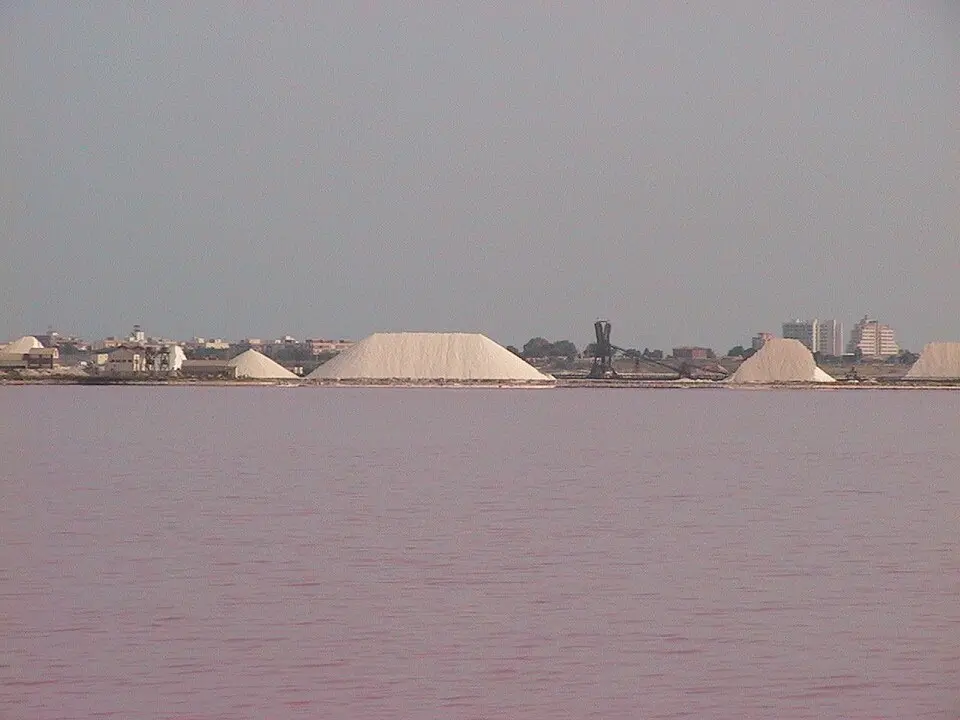 Parque natural de las Lagunas de La Mata y Torrevieja