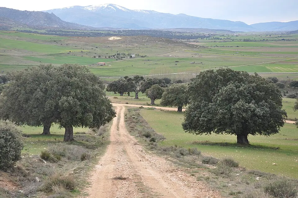 Comarca de Ávila