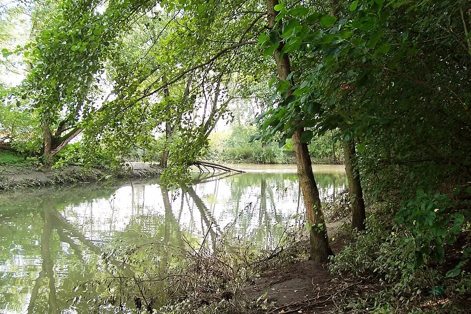 oasi del Bosco di Montorfano