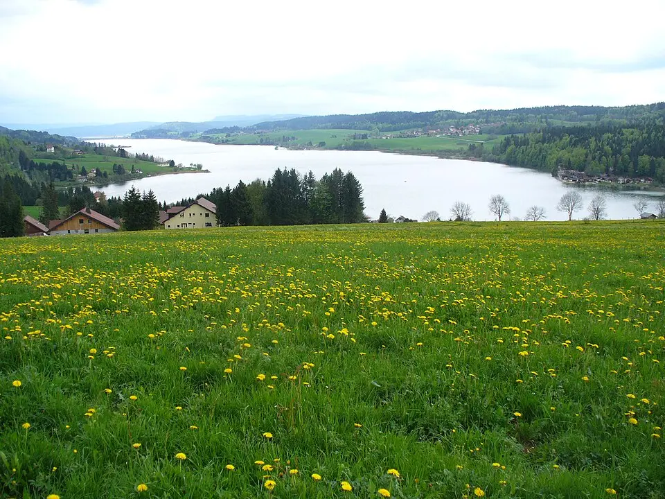 Image: Suaudeau at fr.wikipedia · CC BY-SA 2.5 Lac de Saint-Point