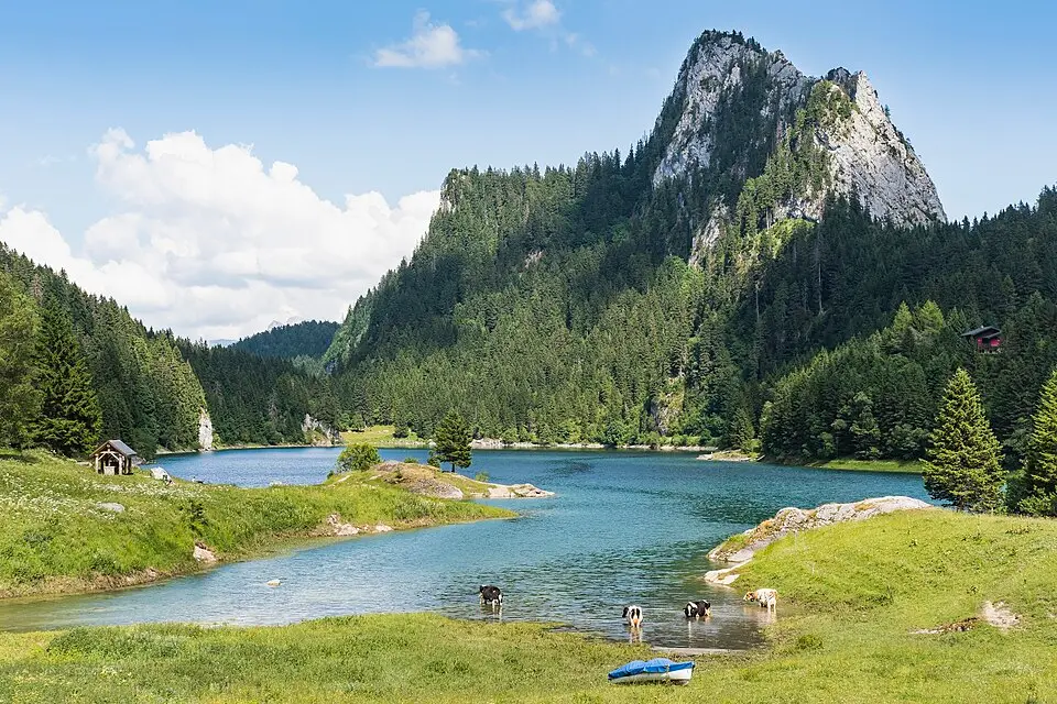 Lake Taney