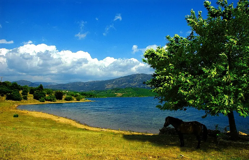λίμνη Λάδωνα
