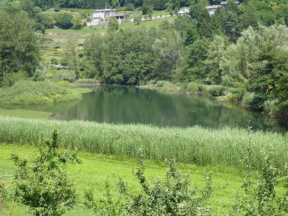Biotopo Lago Costa