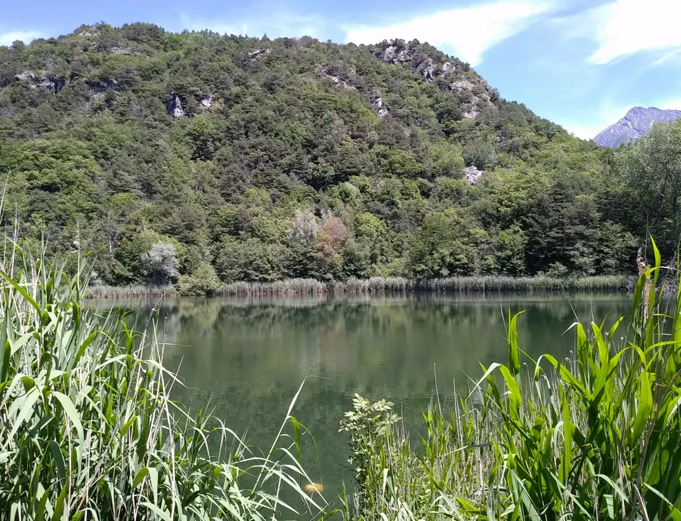 Ville Lake Natural Reserve