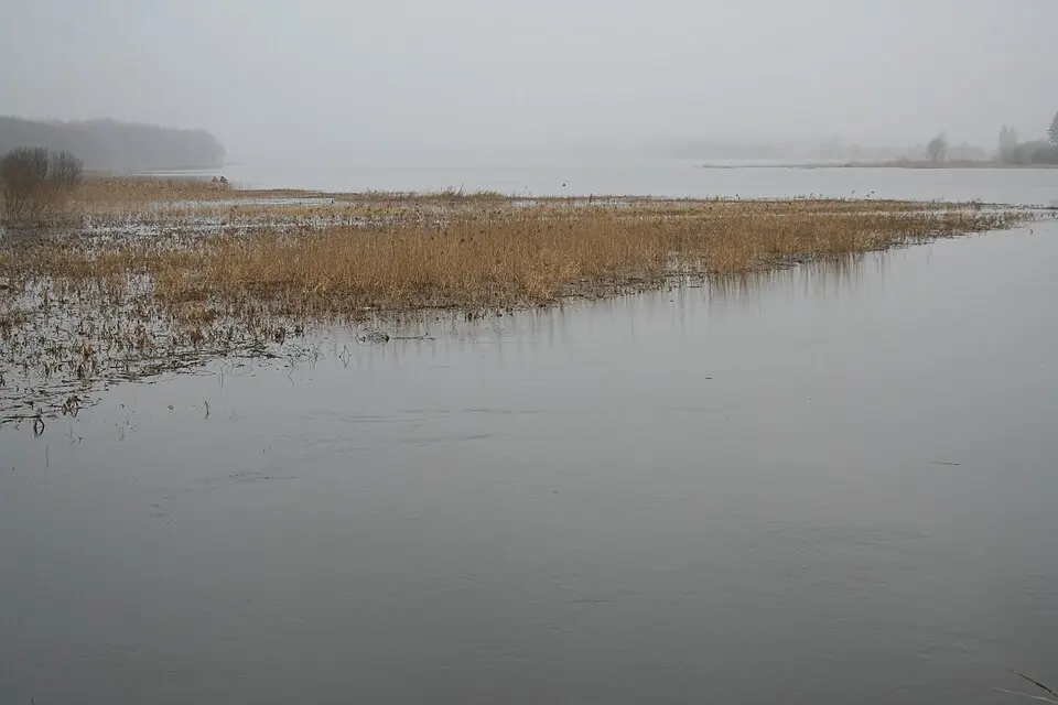 Lahepera järv