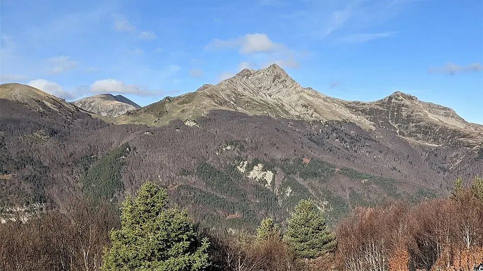Kartxela