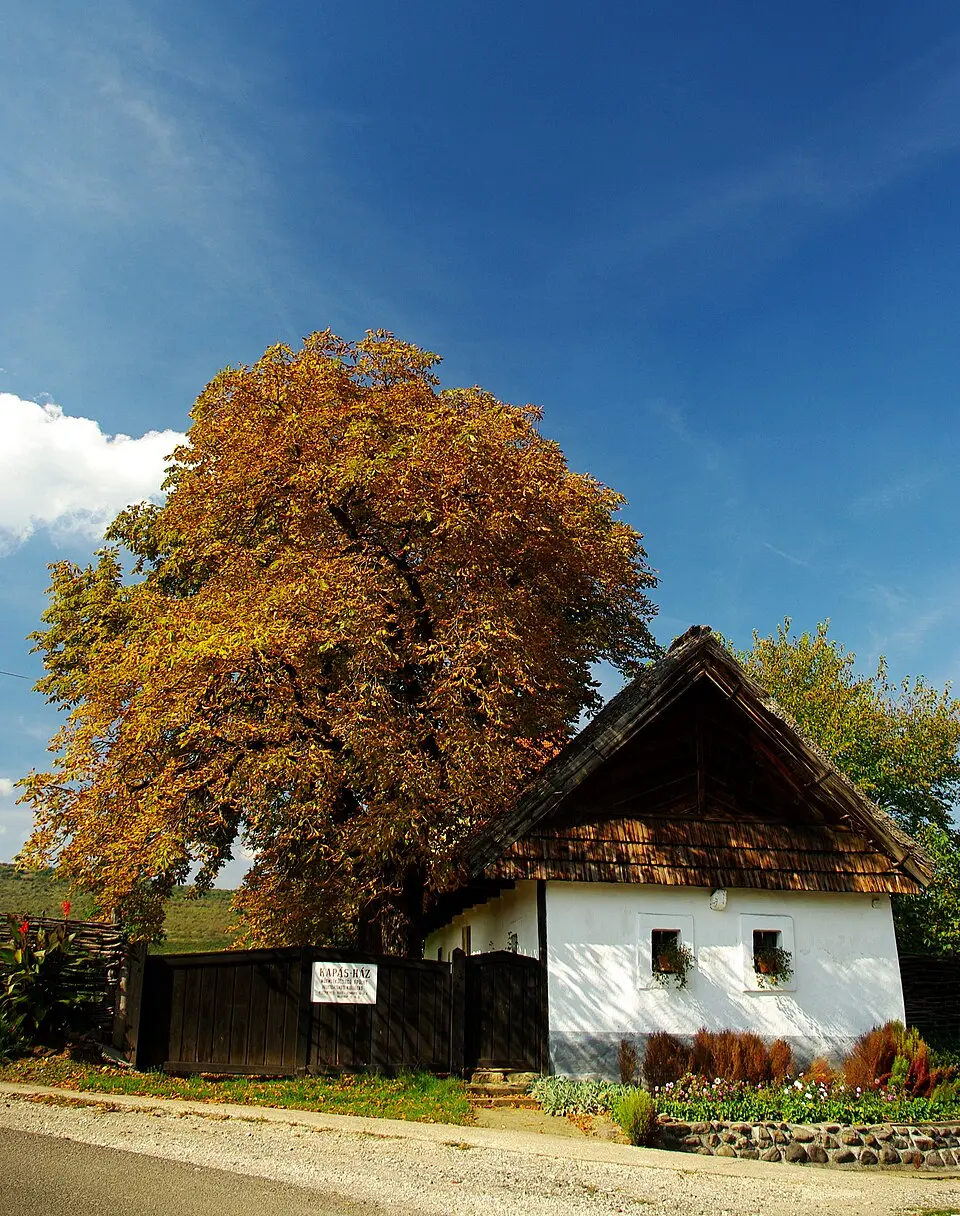 Abasár