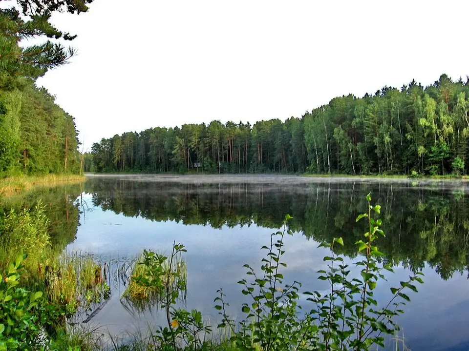 Шэлахава