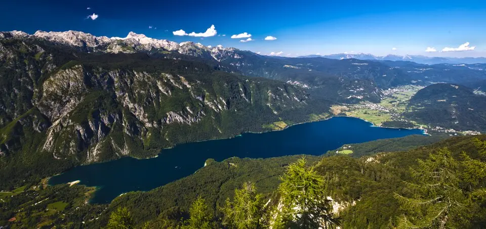 Občina Bohinj