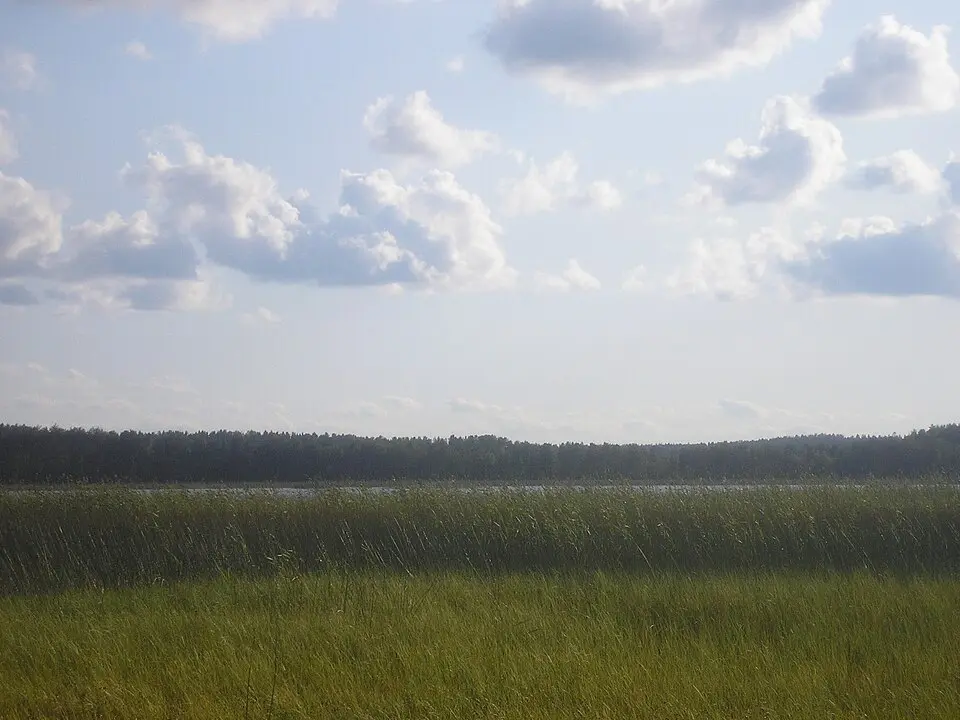 Evijärvi