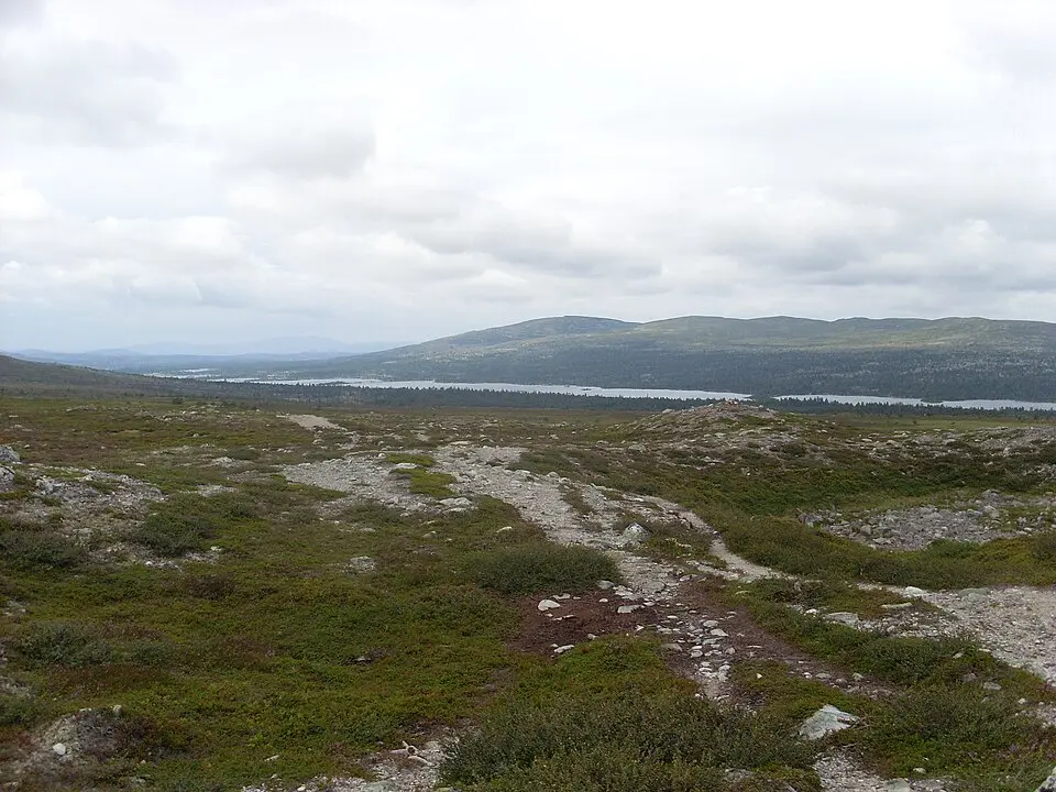 Nationalpark Töfsingdalen