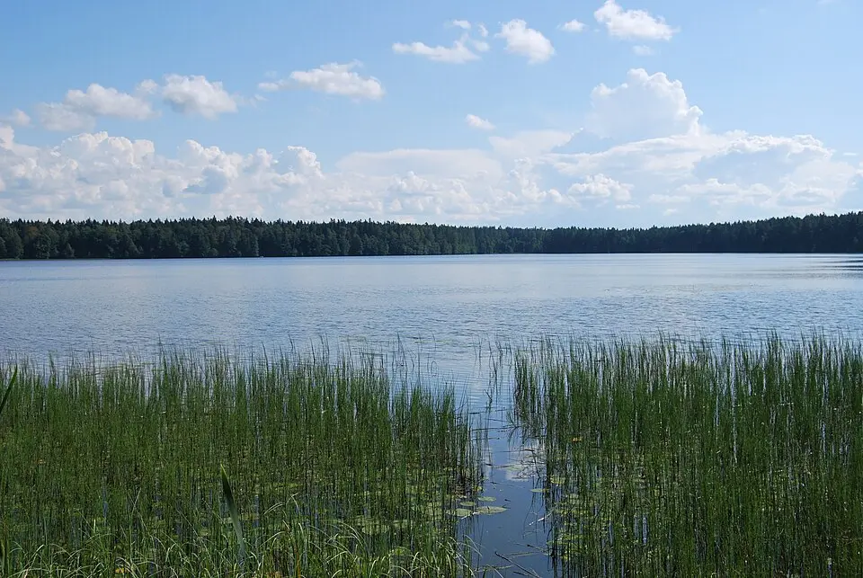 Käsmu järv