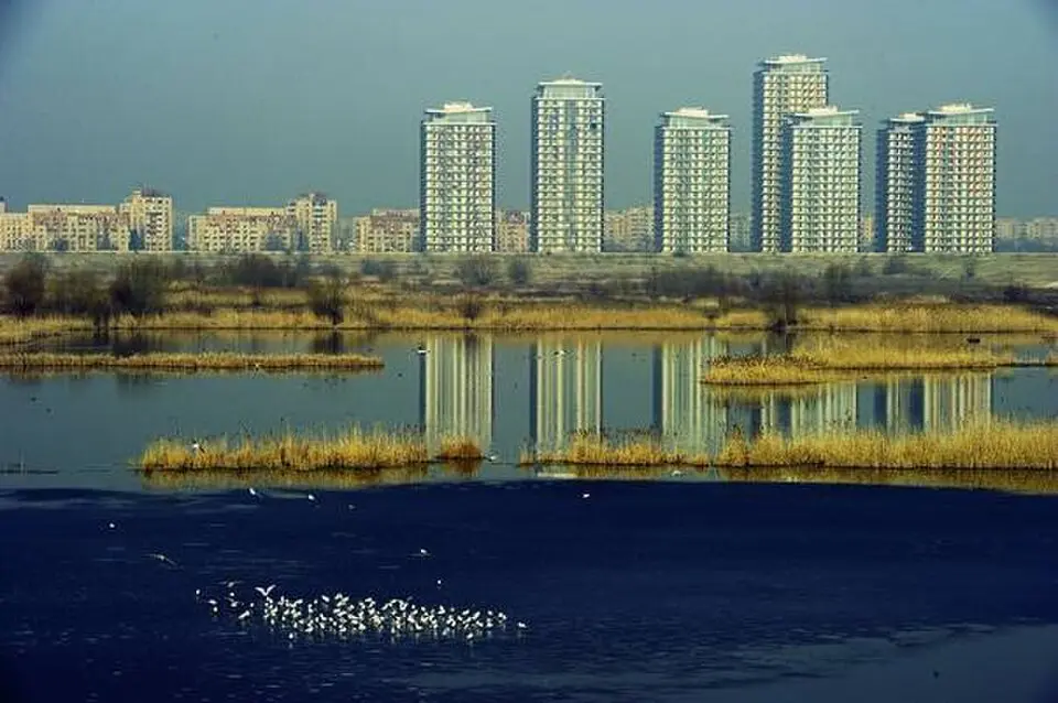 Lake Văcărești