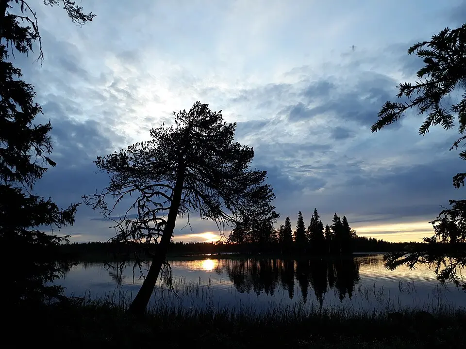Reivo domänreservat