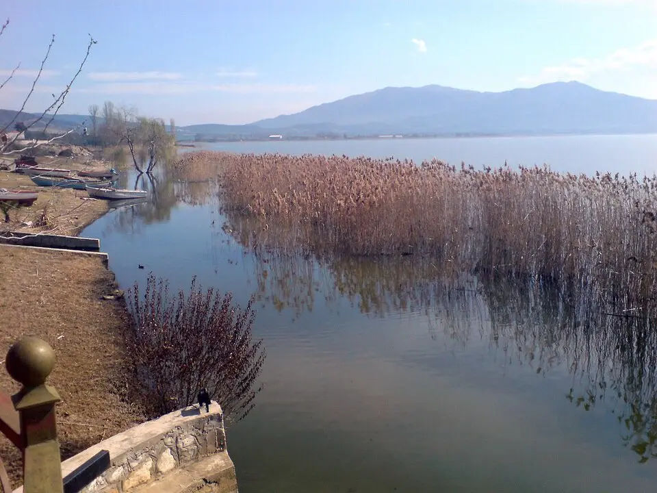 Βόλβη
