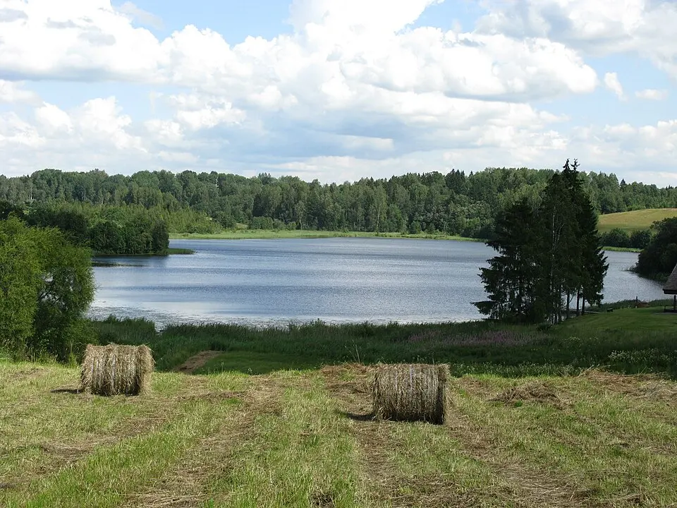 Vidrike järv