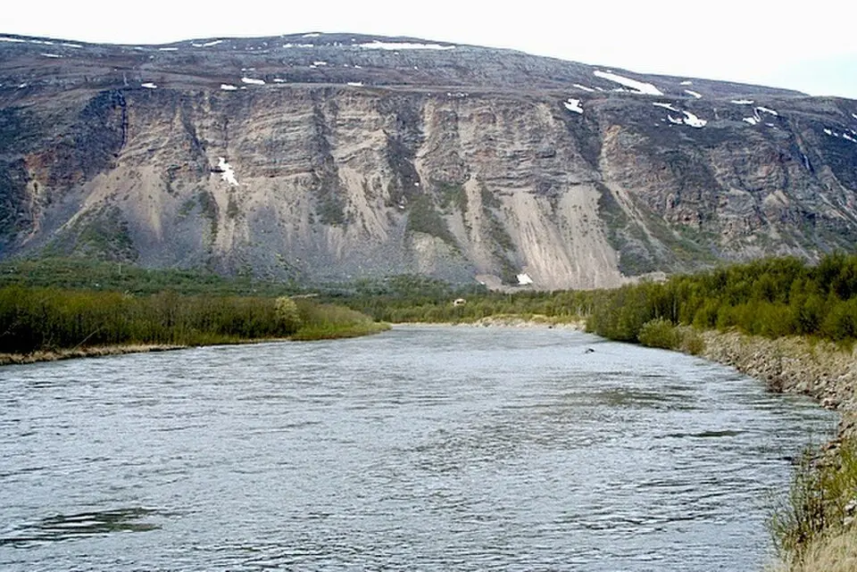 Lakselva