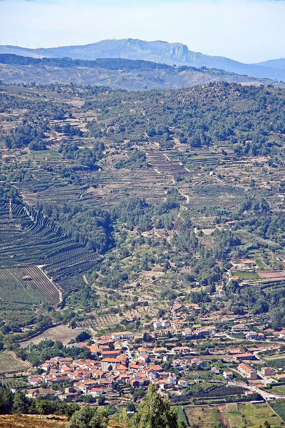 Lalim