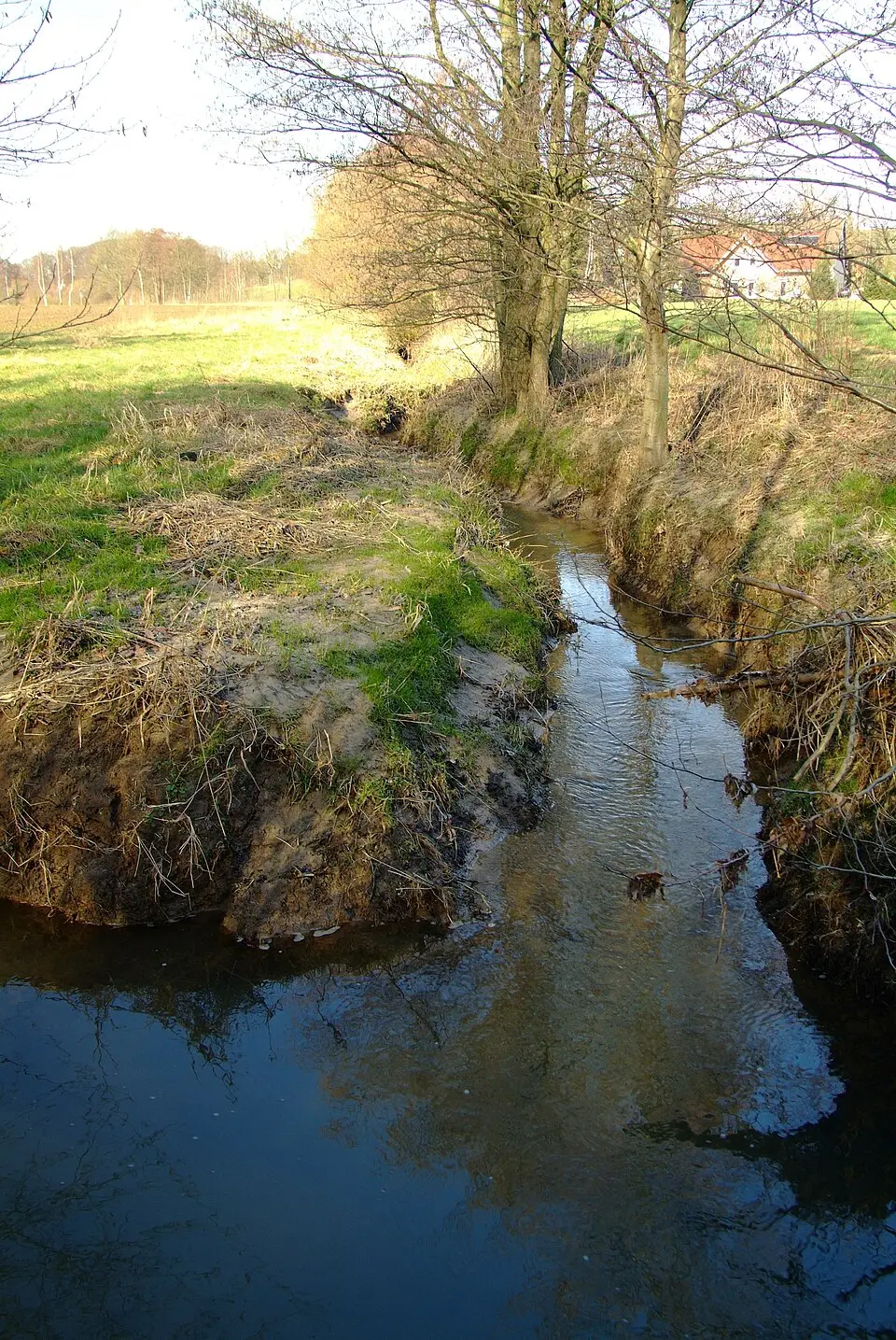Lambach