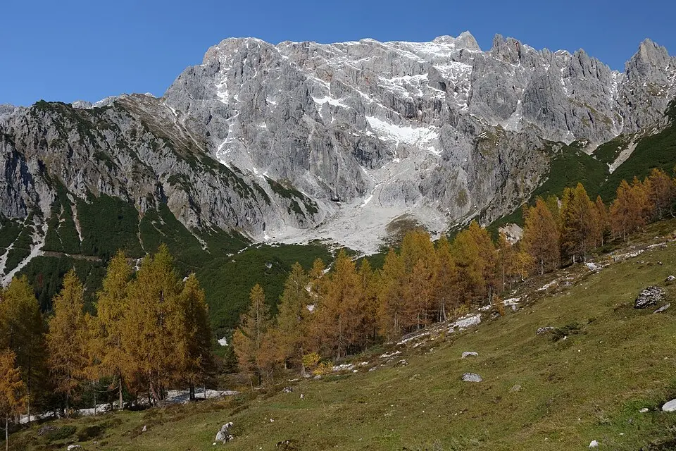 Immagine: Tigerente · CC BY-SA 4.0 Lamkopf