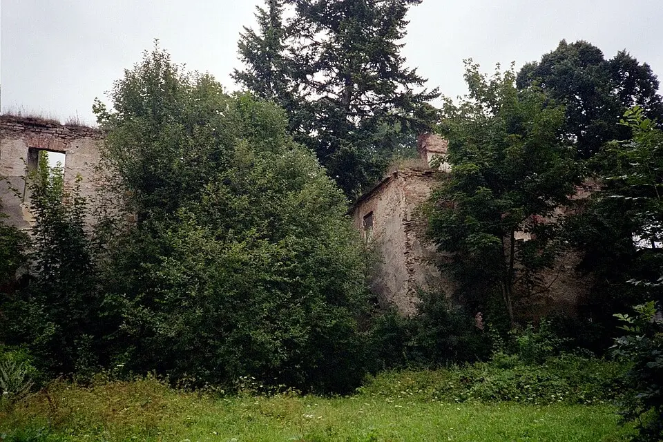 Pozostałości zespołu pałacowego w Grodziszczu