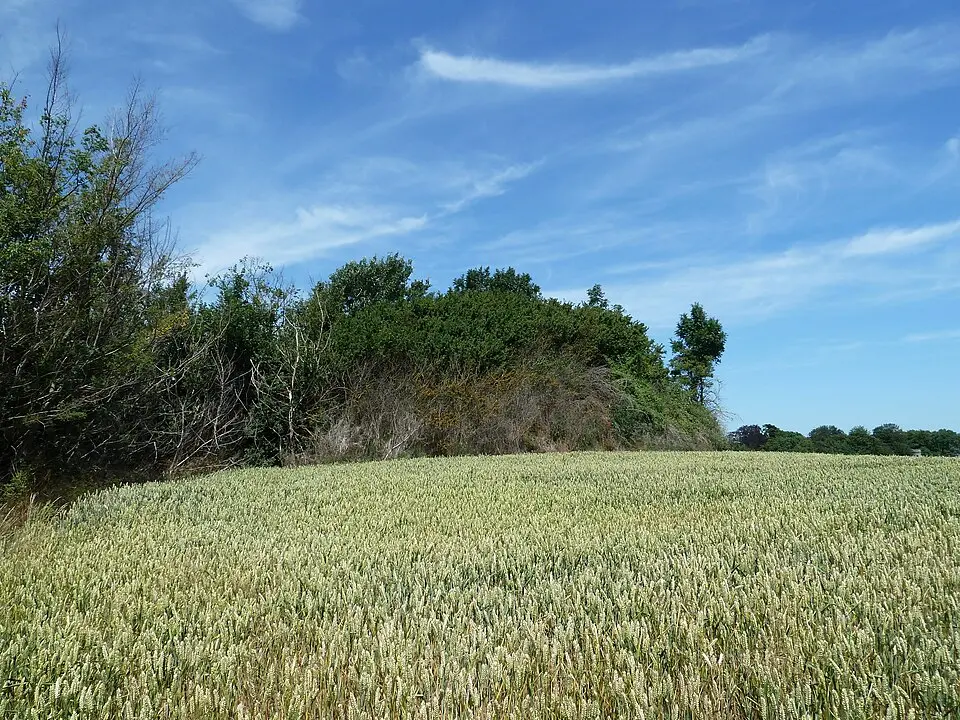 Tumulus van Middelwinden