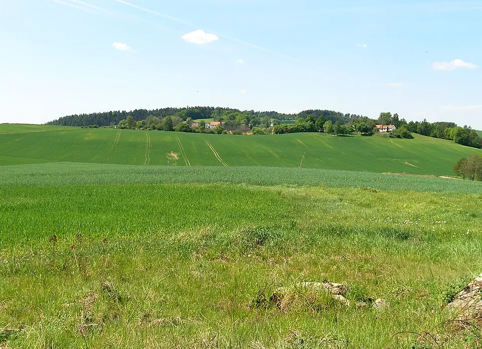 Křenovičky