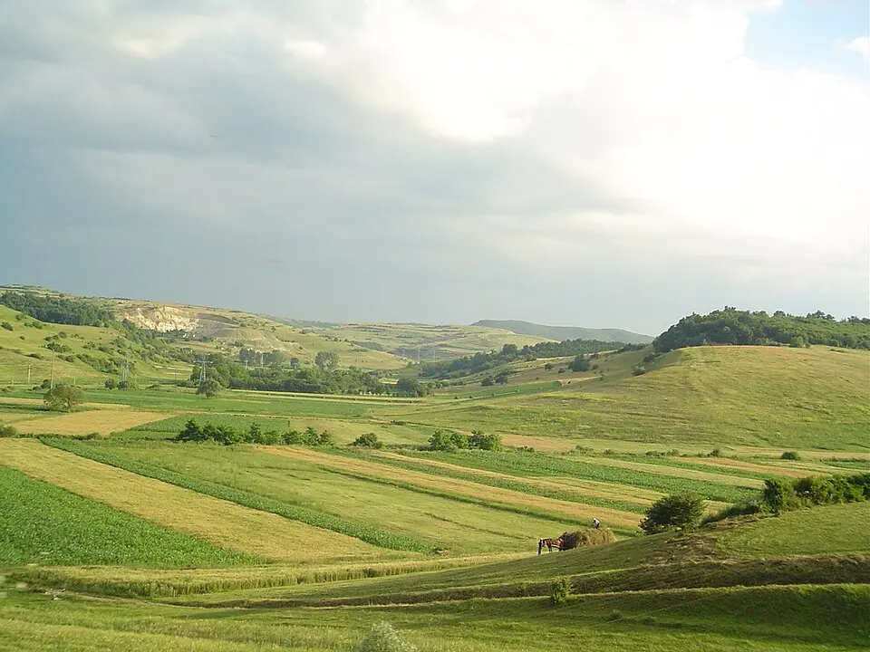 plateau Transylvanien