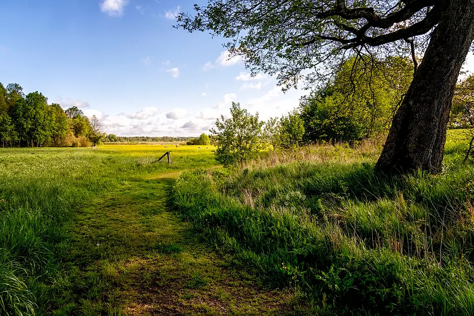 Dravens naturreservat