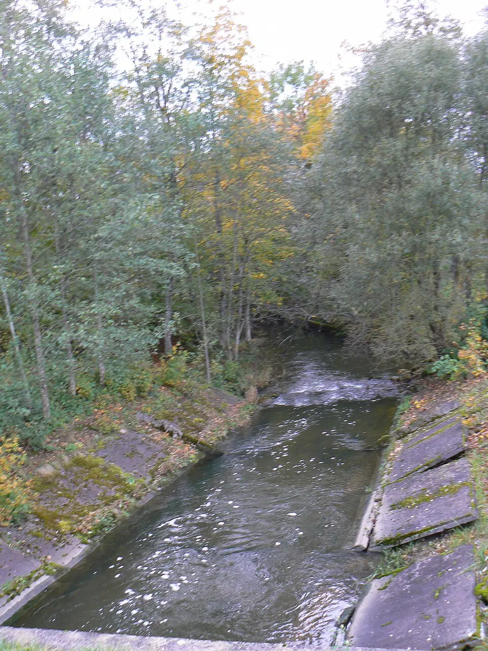 Agluona