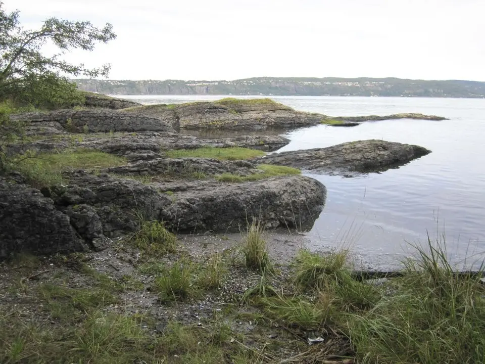 Langøya naturreservat