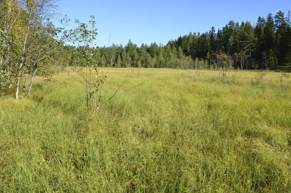 Langrudmyra naturreservat