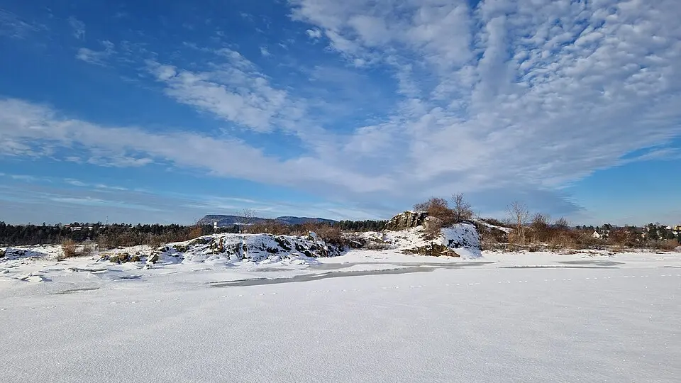 Langskjær naturreservat
