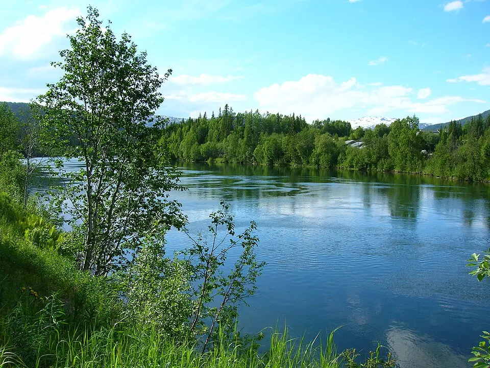 Langvassåga