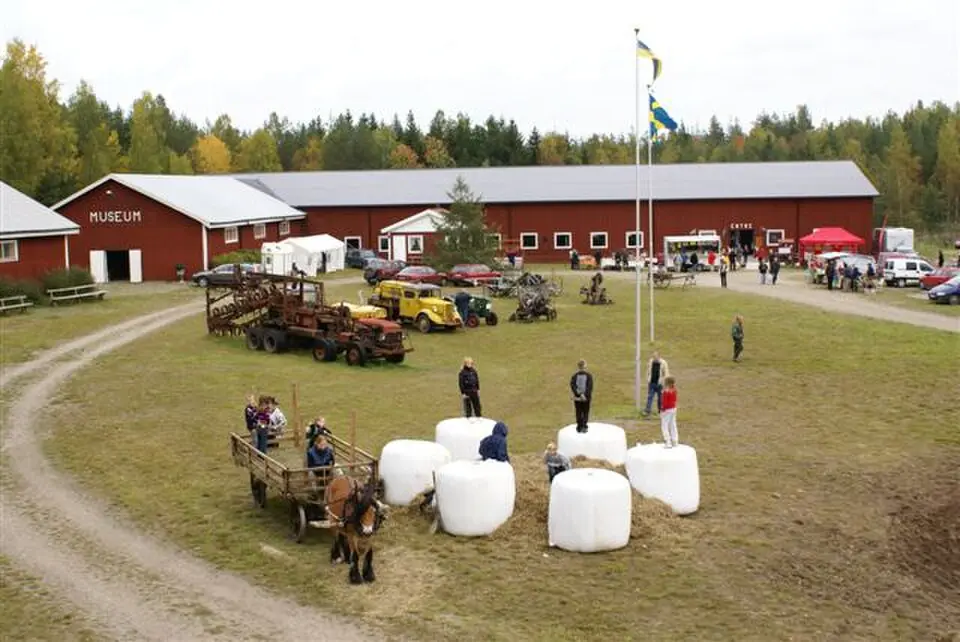 Ljusfallshammar