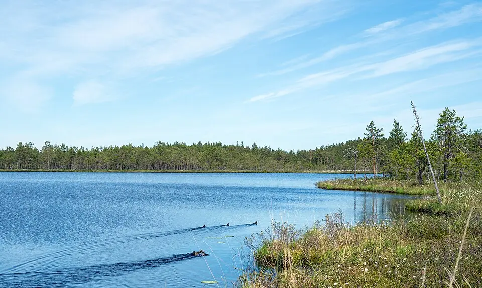 Lappland