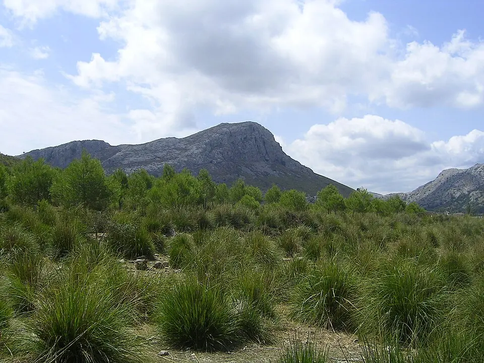 Puig de la Rateta