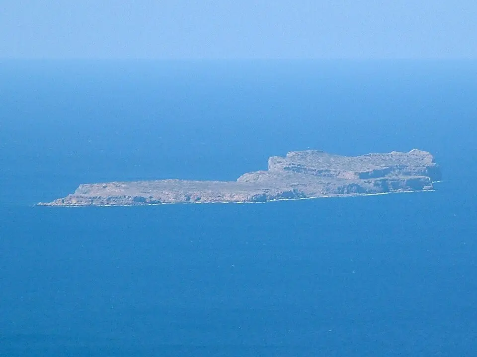 Άγρια Γραμβούσα Χανίων