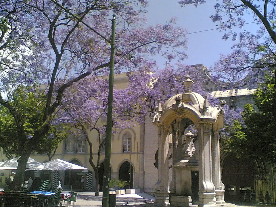 Image: Ruipedrocarvalho · Public domain Largo do Carmo (Lisbonne)