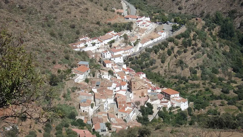 Laroya